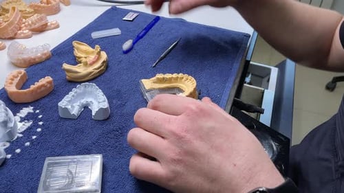 Close Up Of Professional Technician Using Tool To Cut Artificial Dental Model Tooth Tool Cuts