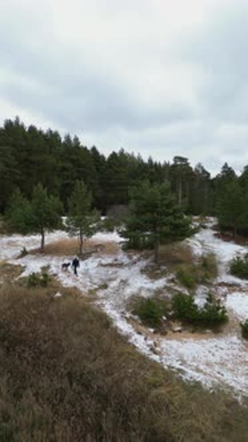 The Camera Slips Away From a Man and a Dog Who are Walking Along a Forest Lake