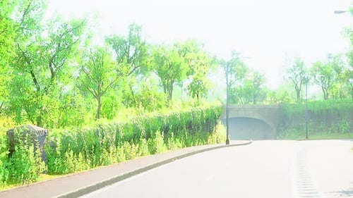 View of Empty Road with Lamp Post and Sunlight