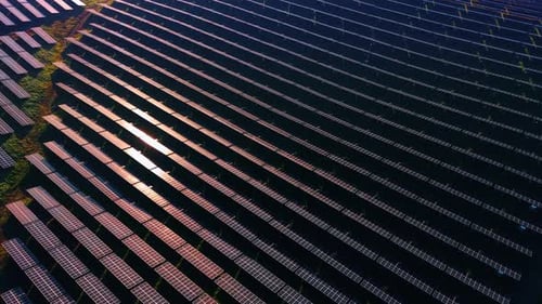 Bright setting sun is accumulated by numerous photovoltaic panels.