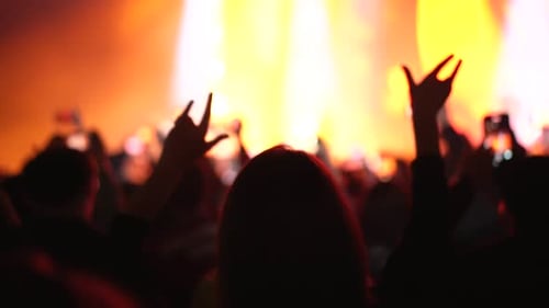 Rock and Roll Concert Heavy Metal Music Fan Show Hand Gesture Sign Happy Woman