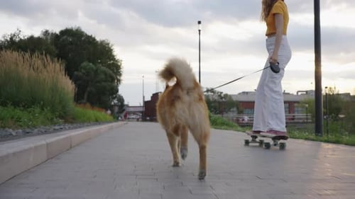 Female Skateboarder Walking Dog Young Girl Rides Skateboard Beige Puppy Runs After Beloved Owner