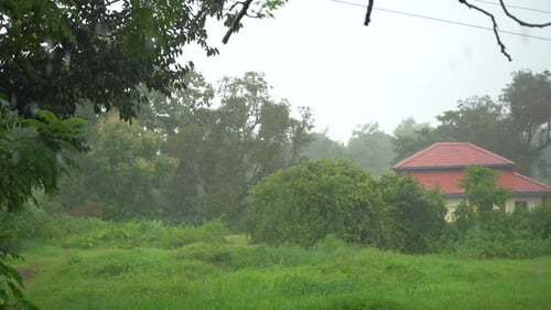 ain in village green trees and grass
