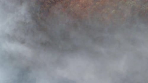 Mountain forest covered with mist. Fog in the forest. Aerial view with the forest in the mountains