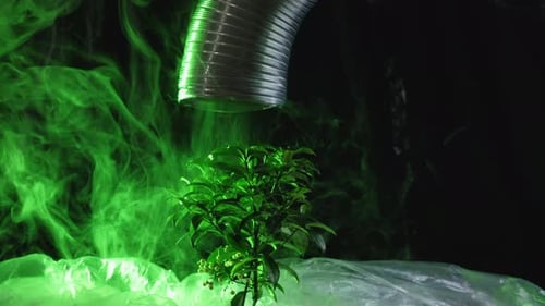 Green Plant with Fog and Silver Tube