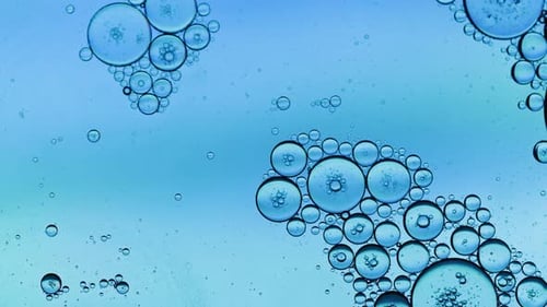Abstract Colorful Food Oil Drops Bubbles 33
