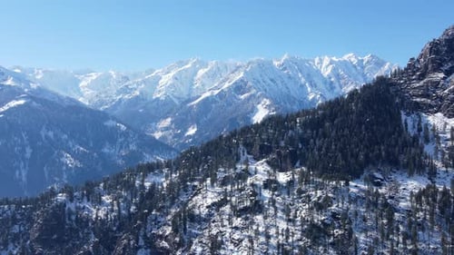 Snow Capped Mountains and Evergreen Forest Aerial View