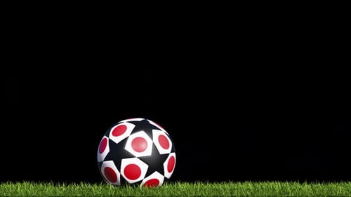 Japan Soccer Ball On The Grass