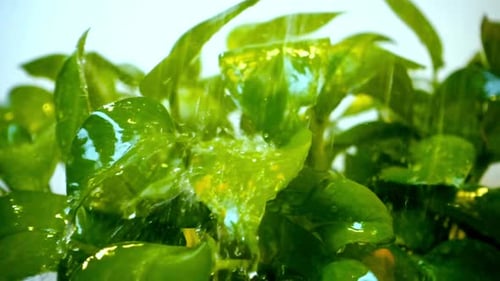 Fallender Wassertropfen
