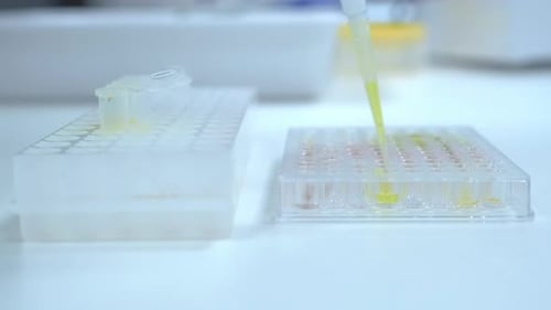 Pipette Fills Small Tubes in Laboratory