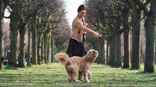 Woman Training Goldendoodle Dog Twirl Around in Circles at Berlin Park