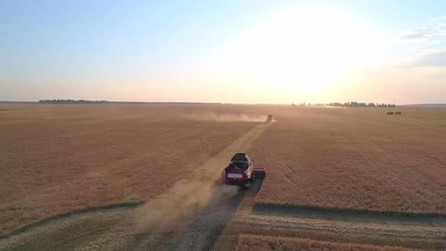 Aerial of Combines Working in the Field Harvesting Crops Gathering Season