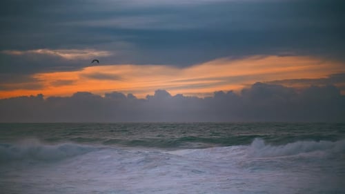 Sommerabend, Meereslandschaft, die am wunderschönen bewölkten Himmel weht. Vogel, der übers Meer fliegt