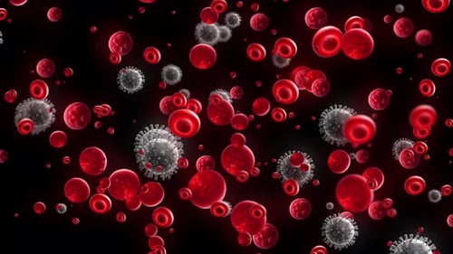3D Animation of Circulating Blood Cells and Viruses