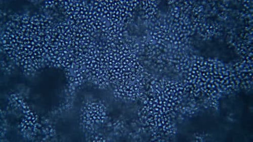 Abstract Microscopic Particle Movement Background Loop