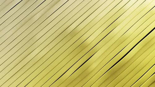 Bright Colored Wavy Pattern Abstract Background 3d Seamless Loop