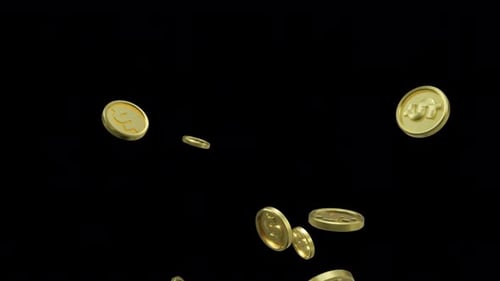Coin Dollar Up 4k