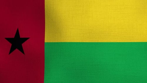 Waving Flag Animation with Realistic Fabric Texture