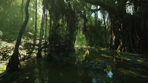 Flying Through Lush Tropical Swamp Jungle 3D Animation