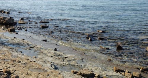 Stone wild beach and crystal clear water of the Adriatic Sea in Piran, Slovenia.