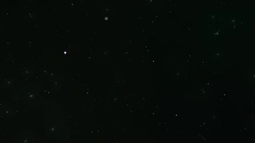 Twinkling White Dust Particles Flying Loop Background