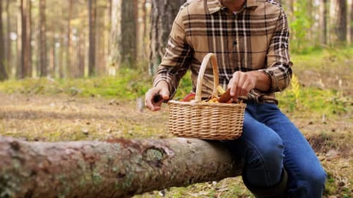 Autumn Mushroom Picking in Forest Slow Motion
