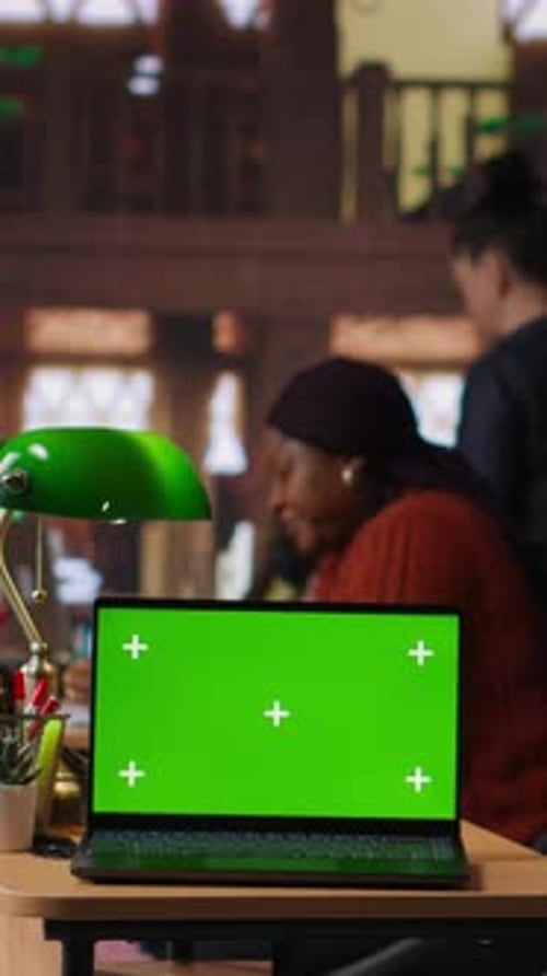 Vertical Video Diverse People Working on Their Assignments in a Library with Green Screen