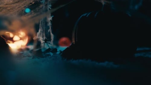 Spooky Jack-O'-Lanterns Surrounded By Spiderwebs in Dark Room