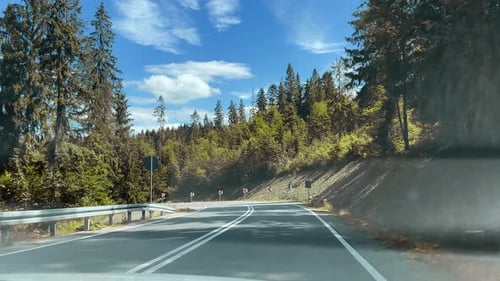 Driving on asphalt road among forest in mountains.