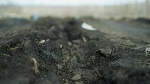 CloseUp of Muddy Trench with Rainwater on LeafCovered Ground
