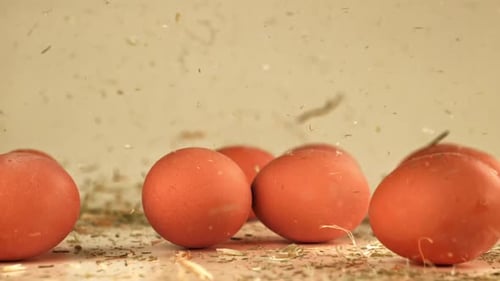 Hay Falls on Chicken Eggs Filmed on a Highspeed Camera at 1000 Fps