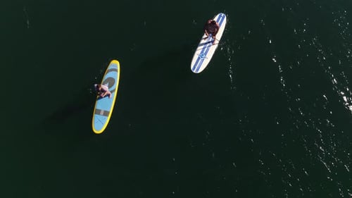 Couple stand up paddleboarding on lake tahoe summer vacation from drone view