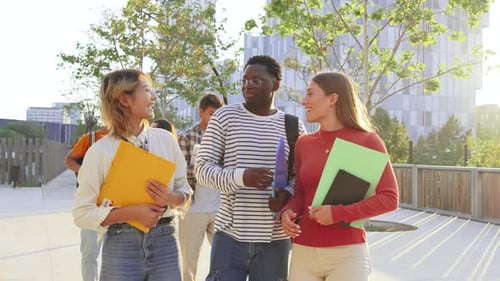 Slow Motion Scene of a Diverse Energetic Group of Students Engaged in Animated Conversation and