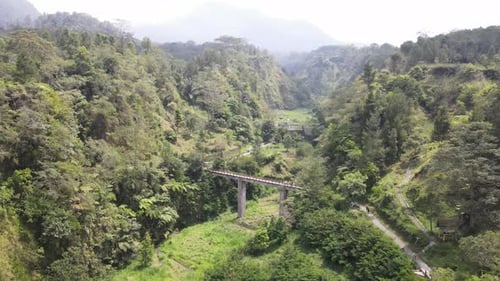 Luftaufnahme der natürlichen Touristenattraktion der schönen und historischen Plunyon Kalikuning-Brücke