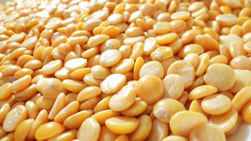 Explore Split Pigeon Peas (Toor Dal).