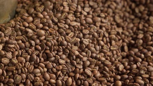 Nahaufnahme gerösteter Kaffeebohnen im Mixer Roaster Blend Automatisches Rühren in der Metalltrommel