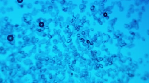 Blue Abstract Organic Microscopic Particles Moving Background