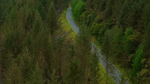 Motorcyclist Riding Fast Along Winding Forest Road Between Dense Green Trees Rider Speeding Through