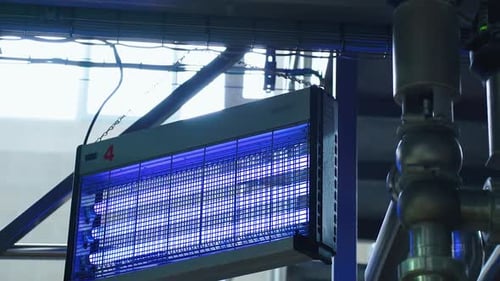 Bright Blue Electric Fly Zapper Hanging Indoors
