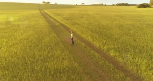 Sporty Child Standing in Green Wheat Field with Raised Hands Up Evening Sport Training Exercises at