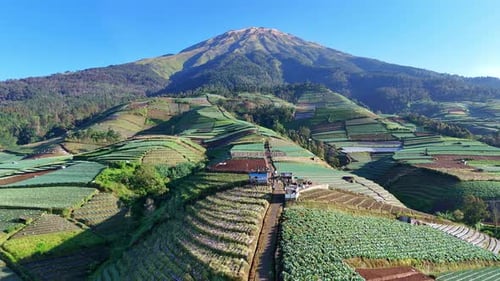 Aerial view of lush terraced farms on the slopes of Sumbing Mountain, Central Java, Indonesia,