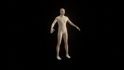 Male Body