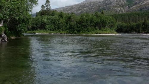Volando sobre el río que fluye a través del bosque con árboles de hoja perenne en verano. - aéreo