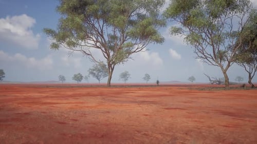Vast African Savanna with Scattered Trees and Clear Sky
