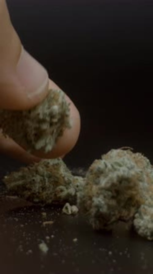 Chunk held in hand