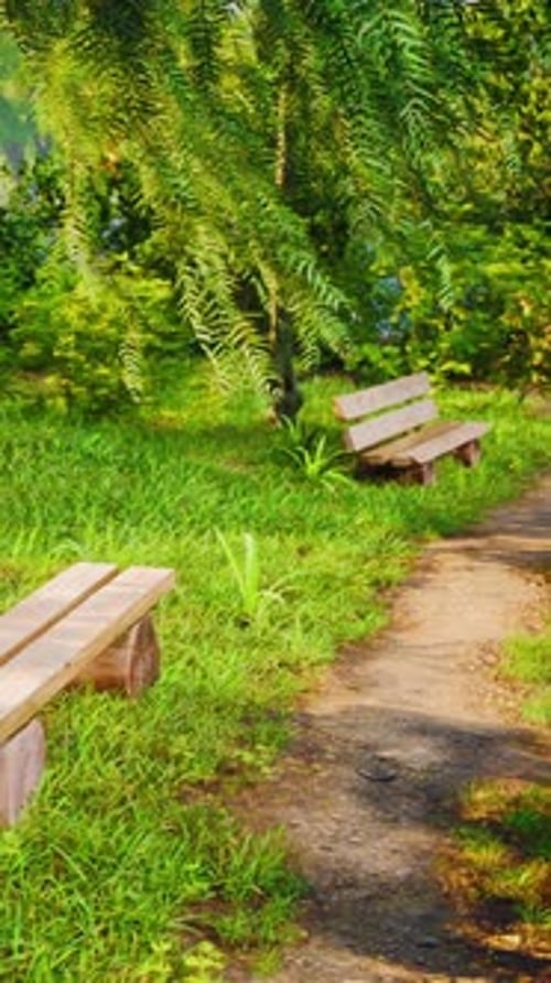 Beautiful Bench in the Park at Spring Sunny Day