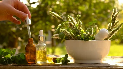 Essential Oils and Fresh Mint Plants in Garden