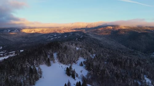 Snowy Mountain Range with Trees Covered in Snow Viewed From the Sky Aerial View