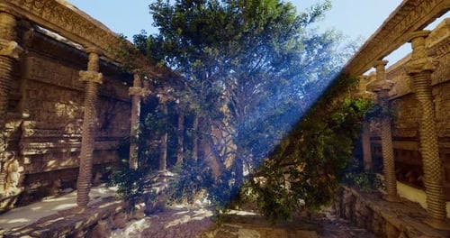 Ancient Ruins Reveal a Majestic Tree Thriving in Sunlight