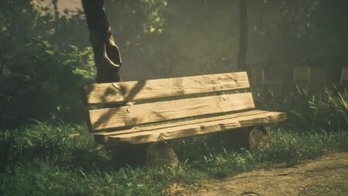 Wooden Bench Inviting Tranquility in a Serene Forest Setting at Sunset
